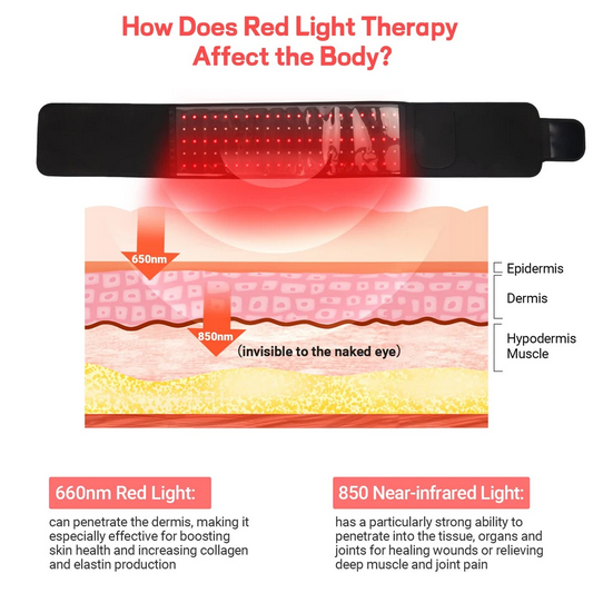 infrared led therapy belt affects on the body